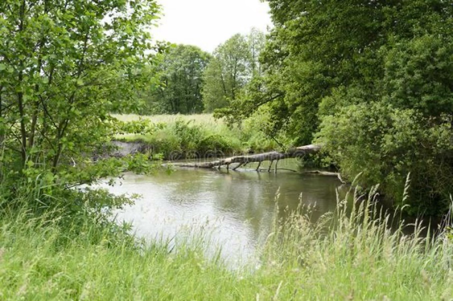 broekse wielen