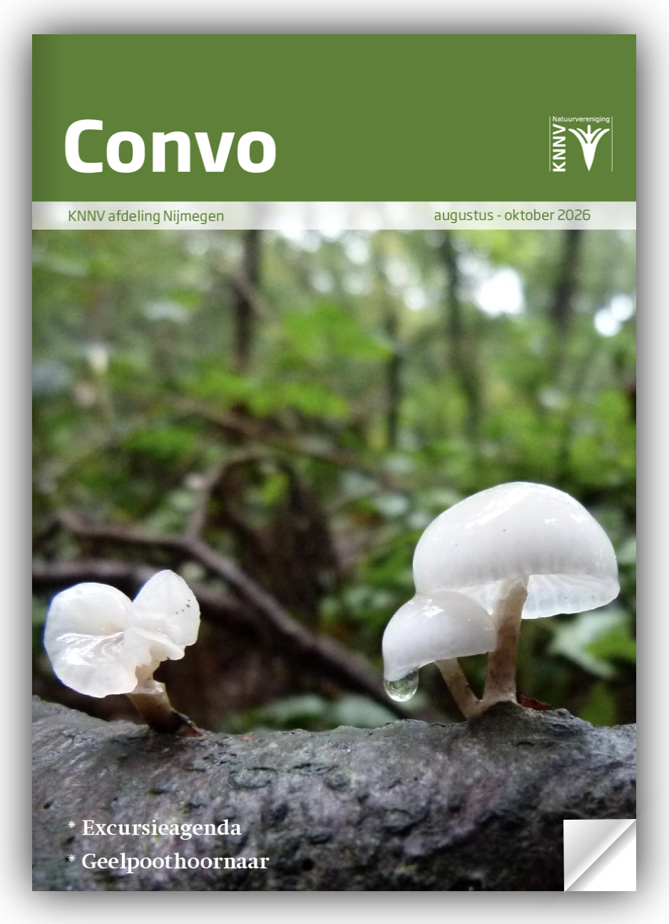 Blader door de convo voor het najaar